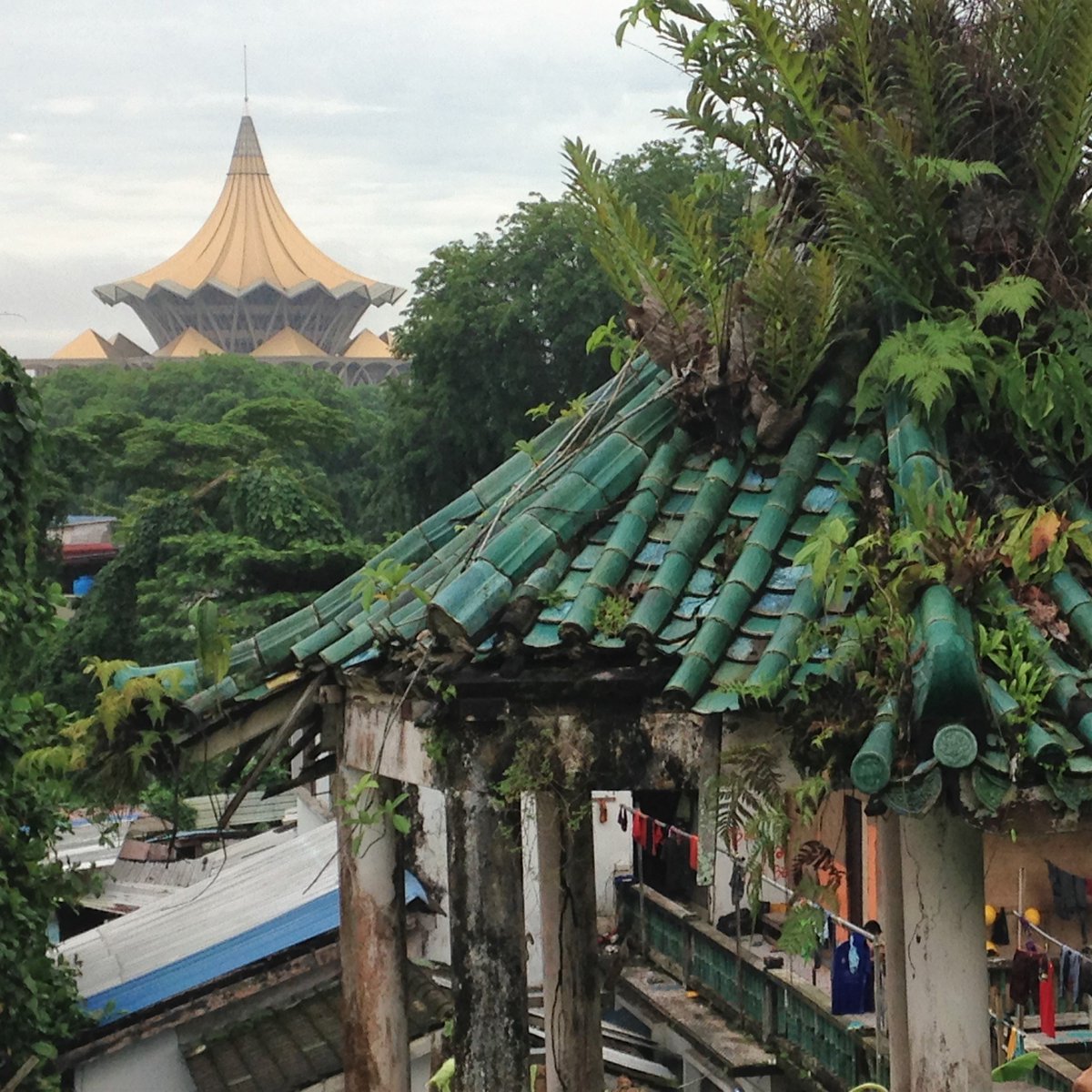 Andy_R_Marshall's tweet photo. 7 day journey to present our new @FoRCEexperiment at @atbc2018, DAY 7 (ARRIVAL!): Shuttletrain, flight, and “Grab” from Kuala Lumpur to Kuching, #Malaysia. #ATBC2018 #atbc18 #EpicJourney https://t.co/dvJCPqVO1G