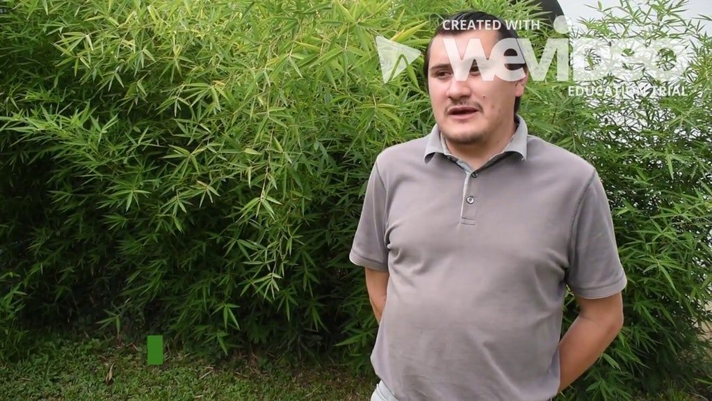 MTSERMON's tweet image. La mayor actividad productiva del municipio es agrícola, seguida por la producción del café soc.sh/jgF2E2GT1x