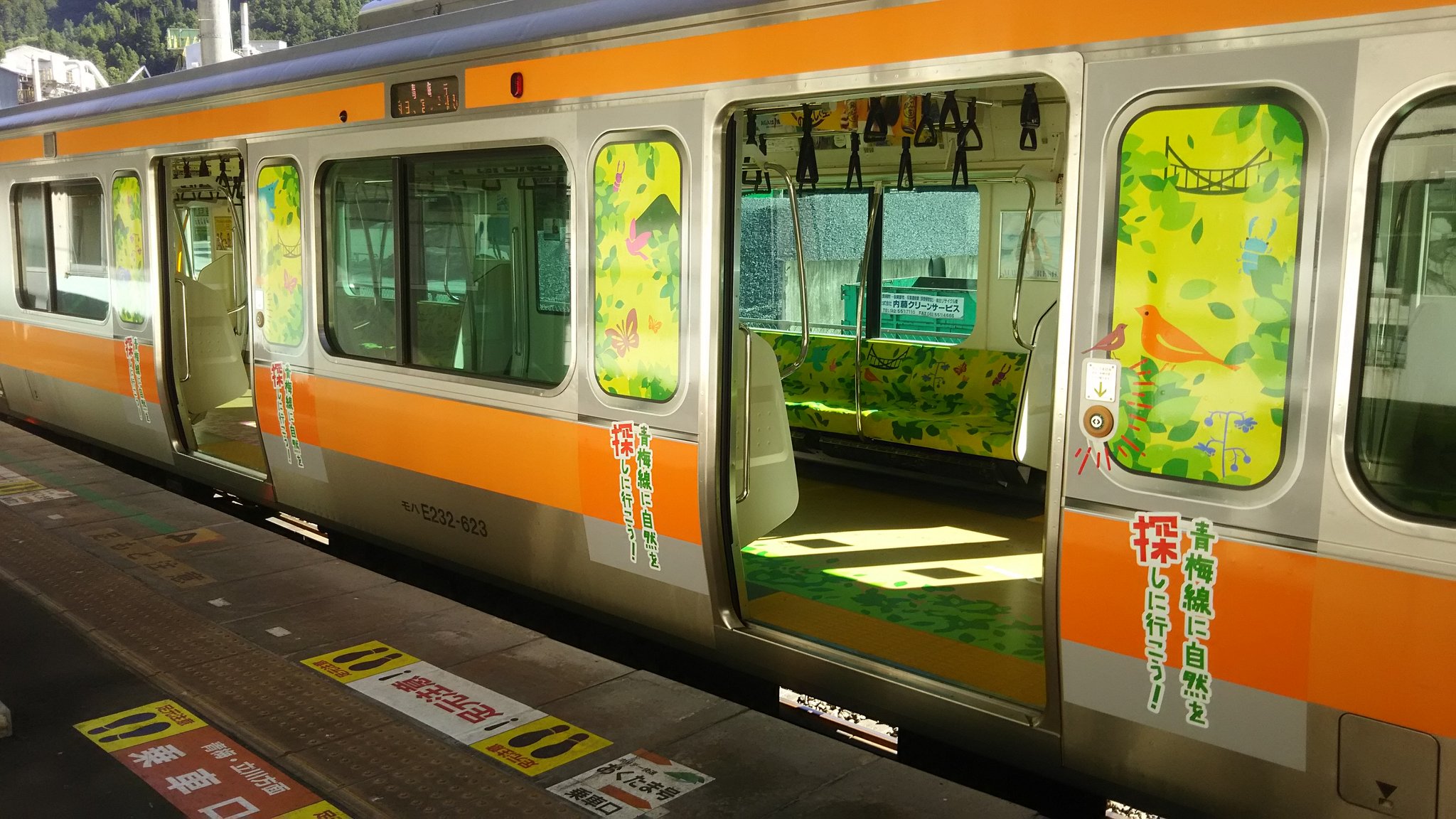 Ichikawa Tamotsu Na Twitter 青梅 線ラッピング列車の側面です ドアの開閉ボタン回りは 強調するサインと 鳥やカブトムシがデザインされています フリースペースには ベビーカーと車イスの イラストが追加されています 青梅線 青梅 奥多摩 T Co