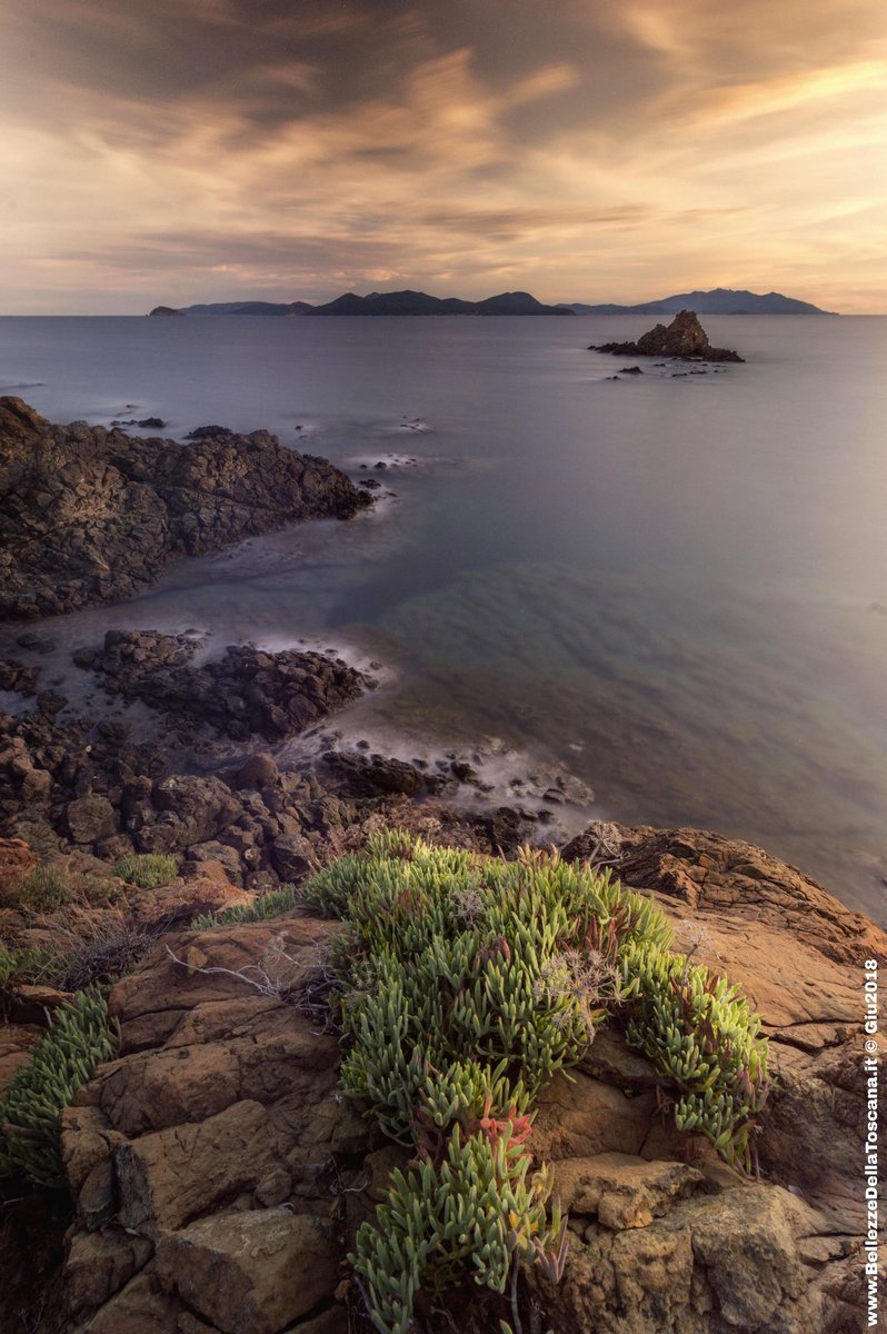 Quattro minuti per me

#bellezzedellatoscana #Falcone #Piombino #Toscana #scogli #mare #searocks #waves #amazing #cool #webstagram #awesome #instaphoto #Tuscany #sky #puntafalcone #igers #wonder #summer #estate #beautiful #sea #isoladelba #canaledipiombino #cielo #clouds