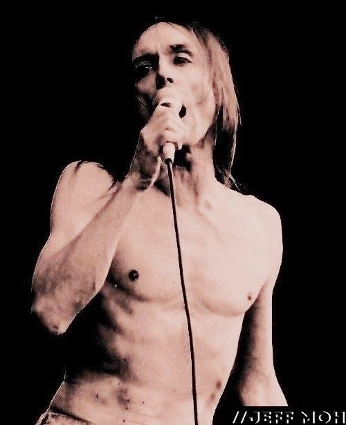 Jeff Moh (@jeffmoh8) on Twitter photo IGGY POP - Legendary Punk Rock Singer/Songwriter of The Stooges,i had photographed three decades ago .Love all his songs that inspired my life in college days.Though i wasn't there today my vision and his songs is within me.<a href="/iggypopofficial/">iggypopofficial</a> @rizermagazine @jeffmoh6969jeff IGGY POP - Legendary Punk Rock Singer/Songwriter of The Stooges,i had photographed three decades ago .Love all his songs that inspired my life in college days.Though i wasn't there today my vision and his songs is within me.<a href="/iggypopofficial/">iggypopofficial</a> @rizermagazine @jeffmoh6969jeff