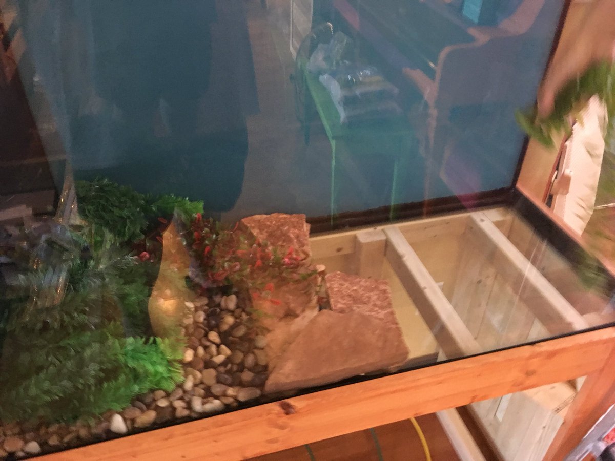 FishTanksMore's tweet photo. Started with the inside of the aquarium today!  Half large turtle pebbles and half white sand.  Calling it Turtle Beach!  #turtletankproject #turtles #turtlepebbles #fishtank #diy #fishtankstand #customstand #tankstand https://t.co/hIjKVtdssP