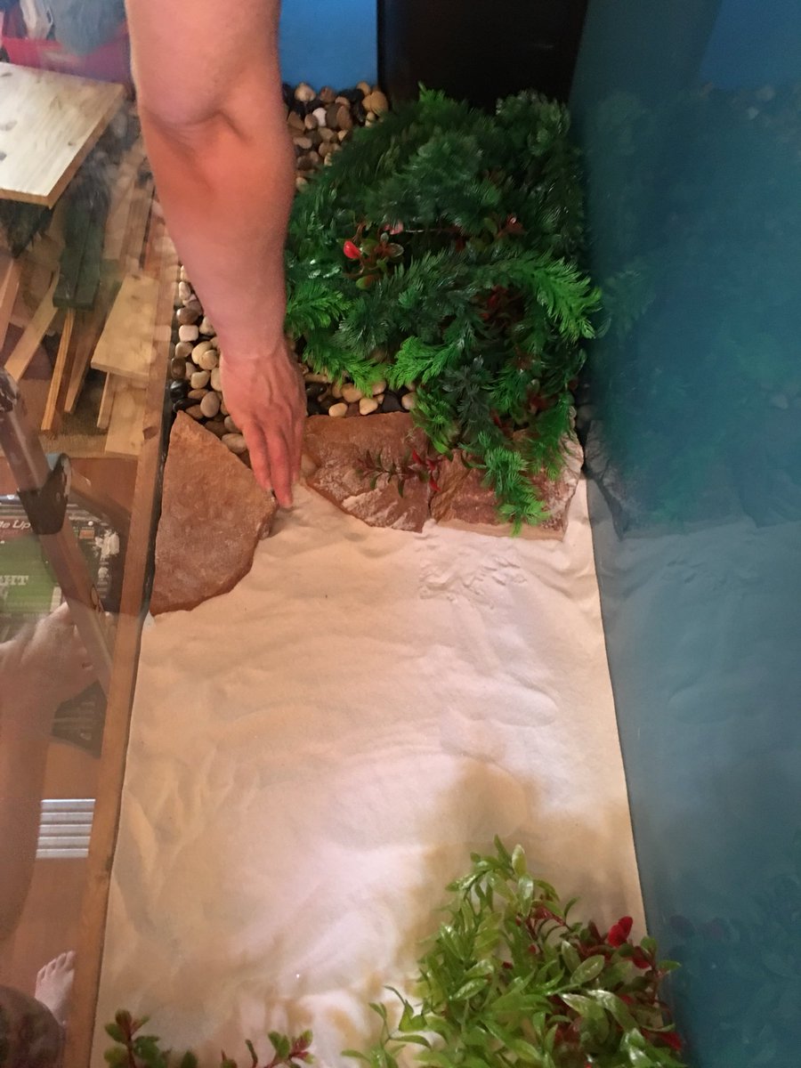FishTanksMore's tweet photo. Started with the inside of the aquarium today!  Half large turtle pebbles and half white sand.  Calling it Turtle Beach!  #turtletankproject #turtles #turtlepebbles #fishtank #diy #fishtankstand #customstand #tankstand https://t.co/hIjKVtdssP