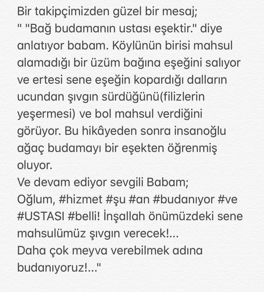 sakirtmen57's tweet photo. #hizmet #şu #an #budanıyor #ve #USTASI #belli! İnşallah önümüzdeki sene mahsulümüz şıvgın verecek!...
Daha çok meyva verebilmek adına budanıyoruz!..." https://t.co/lty7pNM4IY