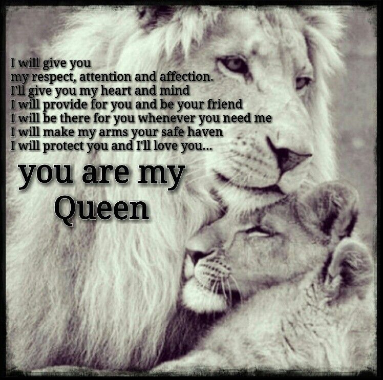 ROMANTIC MY QUEEN QUOTES –