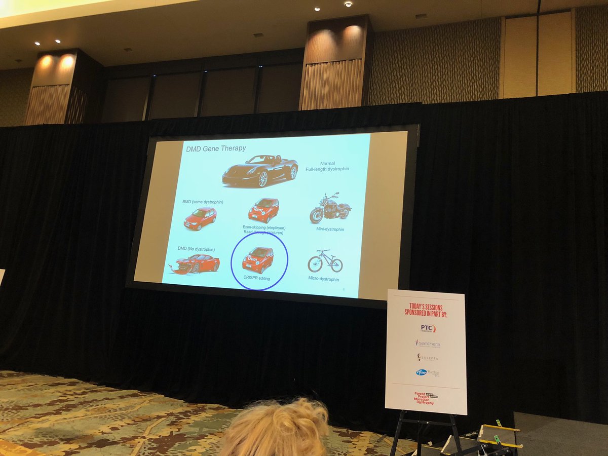 worldduchenne's tweet image. Beautiful comparison of all different types of ‘dystrophin producing’ therapies by Dongsheng Duong #ppmdconference