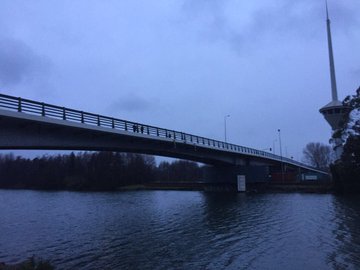 Ver imagen en Twitter