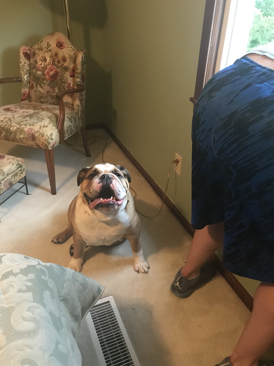 stephbump's tweet photo. Helping the dad at Grammy’s fixing the security light.  #yourwelcomedad #lostwithoutme https://t.co/vGaqUrqeR4