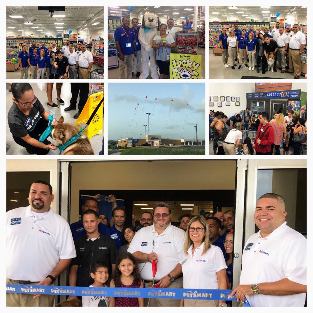 Recogiendo hojas Colibrí persecucion Julio Reyes on Twitter: "PetSmart Caguas and Carolina, Puerto Rico Grand  Opening. #LifeAtPetsmart https://t.co/DcHzdDAtJd" / Twitter