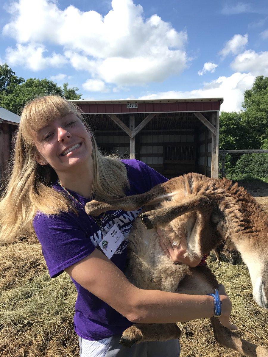 anna_thompson34's tweet photo. caught lil lamb boi (he wasn’t a fan) https://t.co/XDt53PFkMh