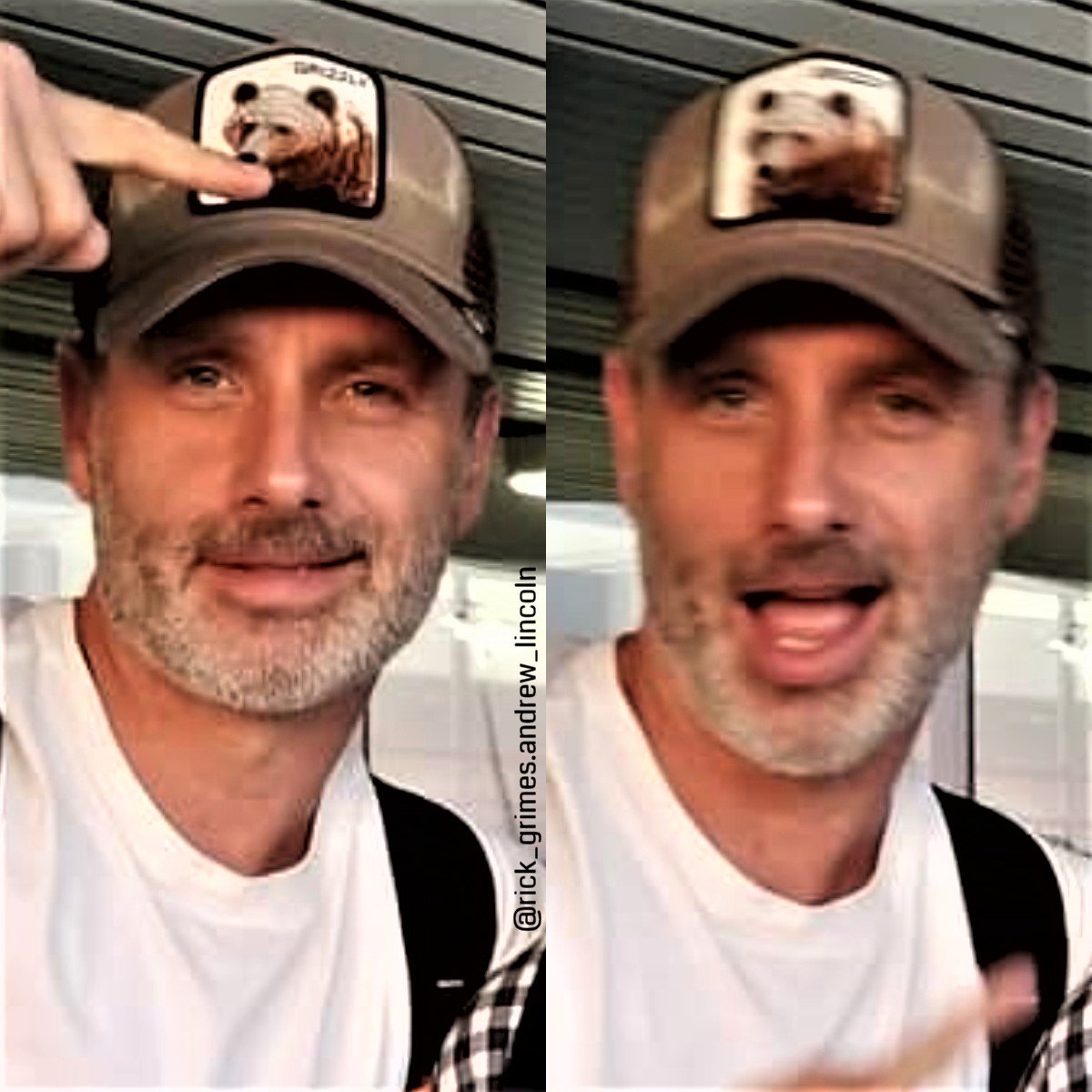 goorin bros grizzly hat