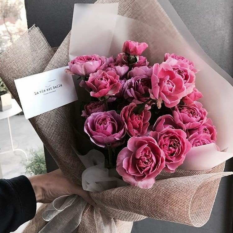 picsafins's tweet image. 