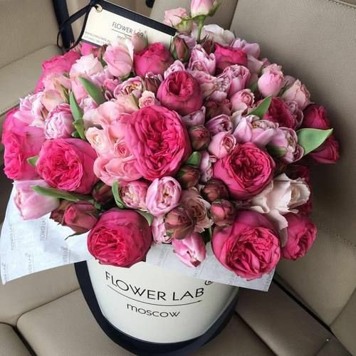 picsafins's tweet image. 