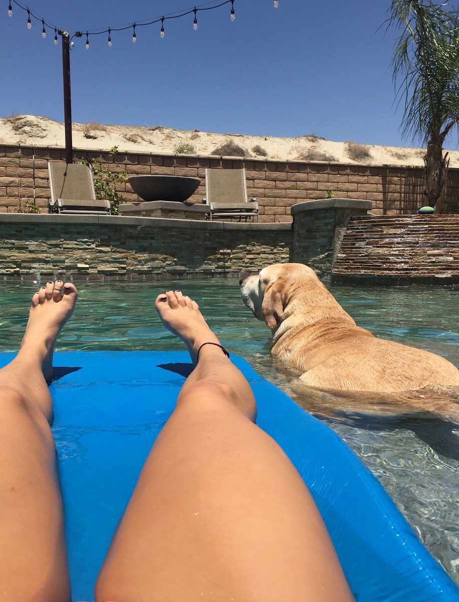 _britbrat6's tweet photo. Cutest tanning buddy https://t.co/eVZMTBs6dO