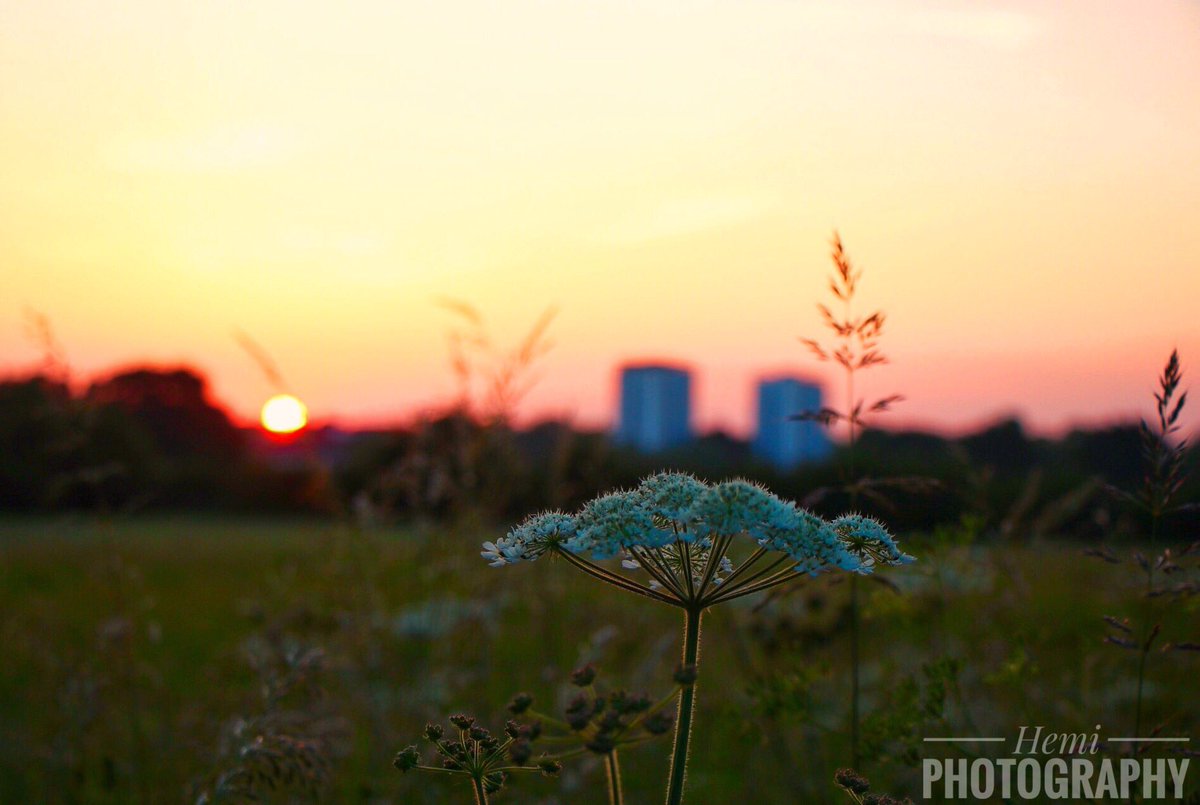 hemaka21's tweet photo. Long warm days and sunny evening sums up a great summer evening. Yet another beautiful summer sunset.
#worcester #sunset #sunsetlicious #super_photosunsets #simplyamazing #sunset_lovers #worcestergram #igersworcs #summerevening #visitworcestershire @worcpic #worcpic @AP_Magazine https://t.co/qqqEOw9Fqt