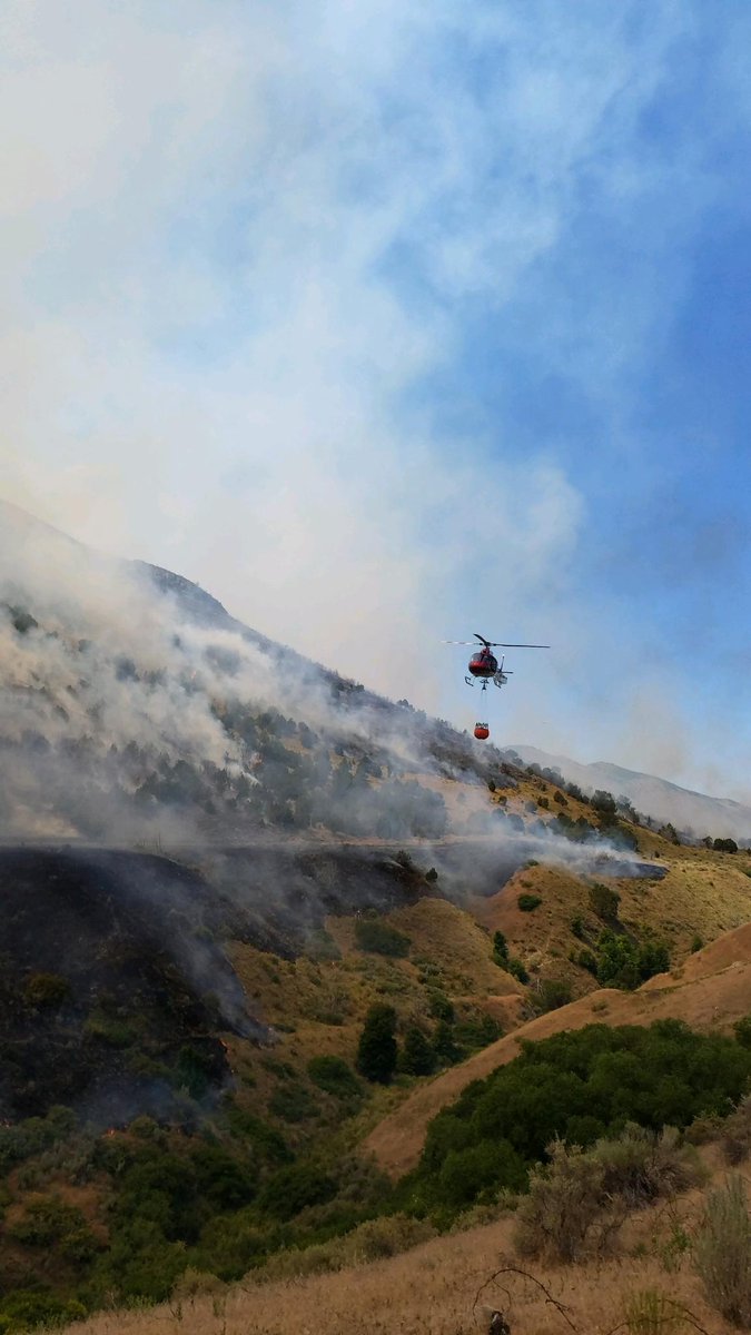 northloganfire's tweet image. North Logan and Cache County personnel are on station at the Rough Canyon Fire. #BucketWork #StructurePro