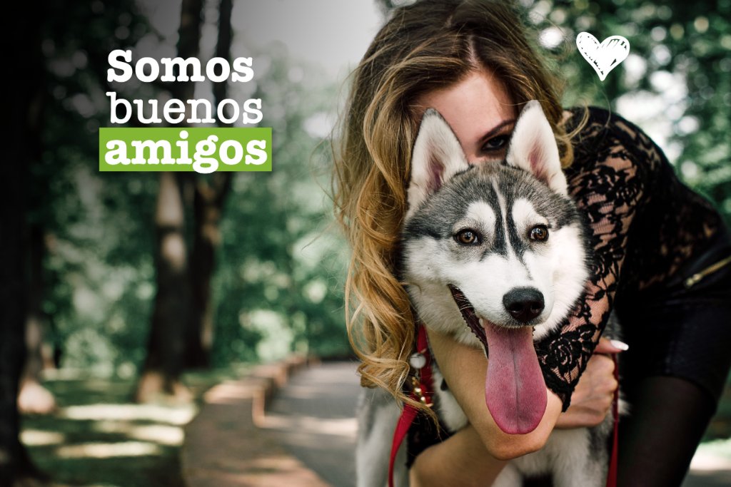 mimascotayyomx's tweet photo. #SabíasQue La domesticación de los perros se origina aproximadamente hace 15,000 años. #FactPerruno #ConsentidoPerruno https://t.co/zbtEH6VnQT