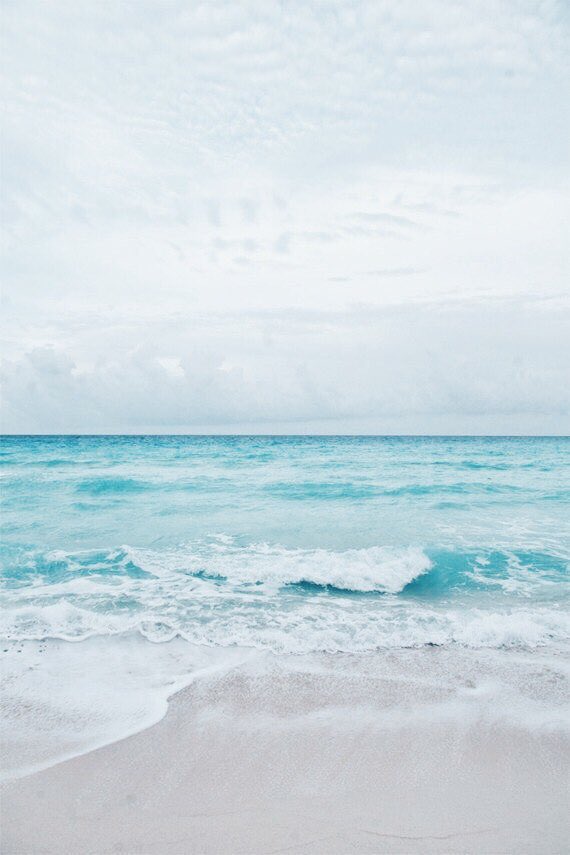 dallaesthetic's tweet photo. https://t.co/Wra1SKS3Be