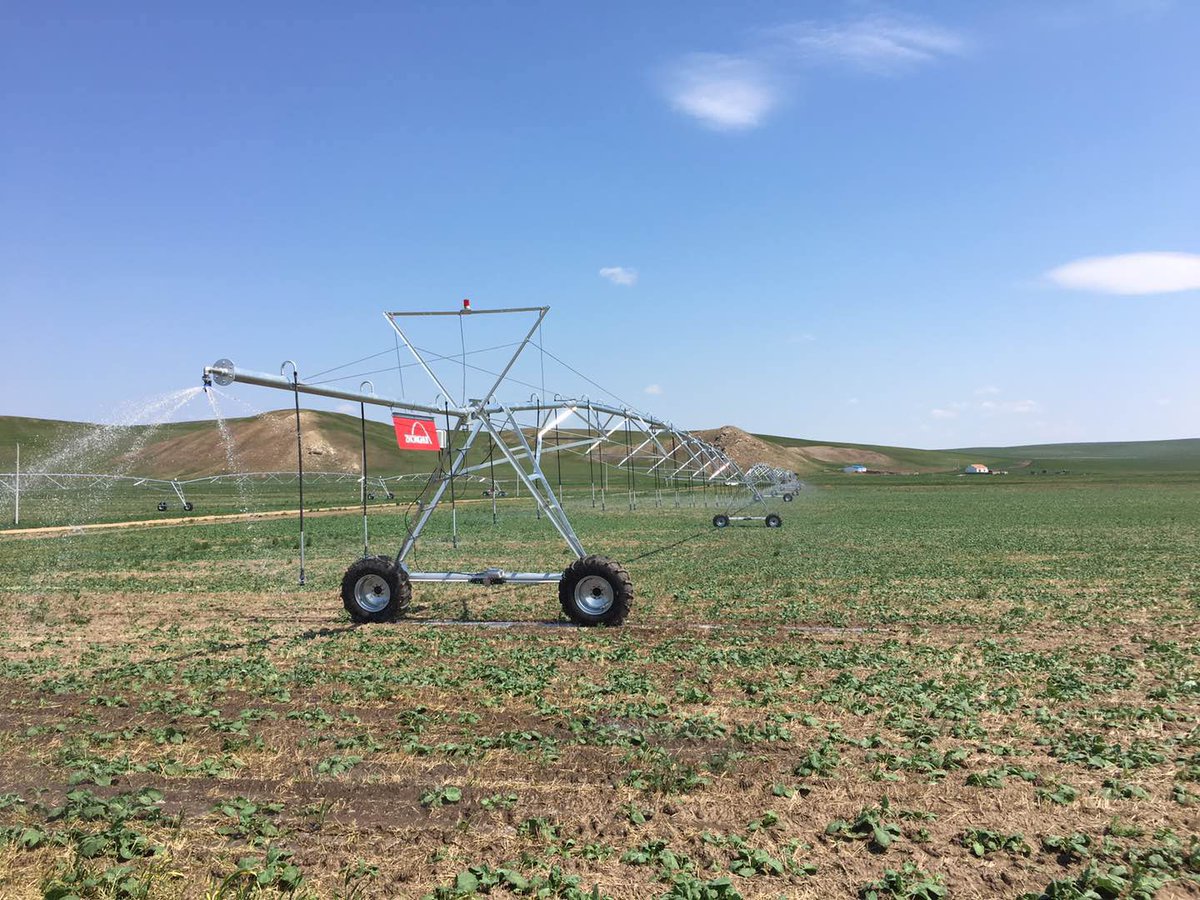 MapleYu7's tweet image. 