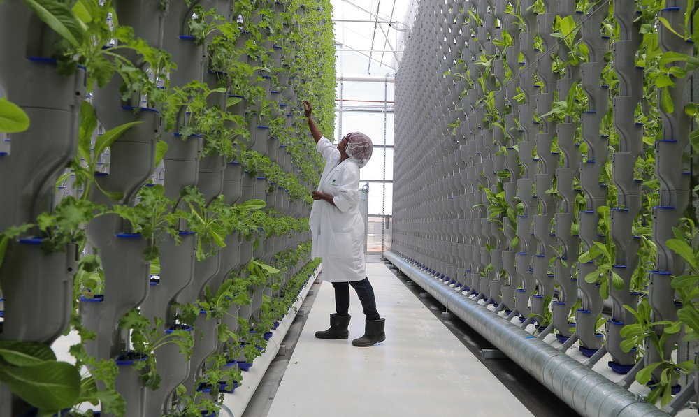 MallisonPhoto's tweet photo. The farm is going vertical in an attempt to feed the world. #EdenGreen #urbanfarming #verticalfarming #agriculture #video https://t.co/r0PFhZtbBr https://t.co/pBLUGHVmmn