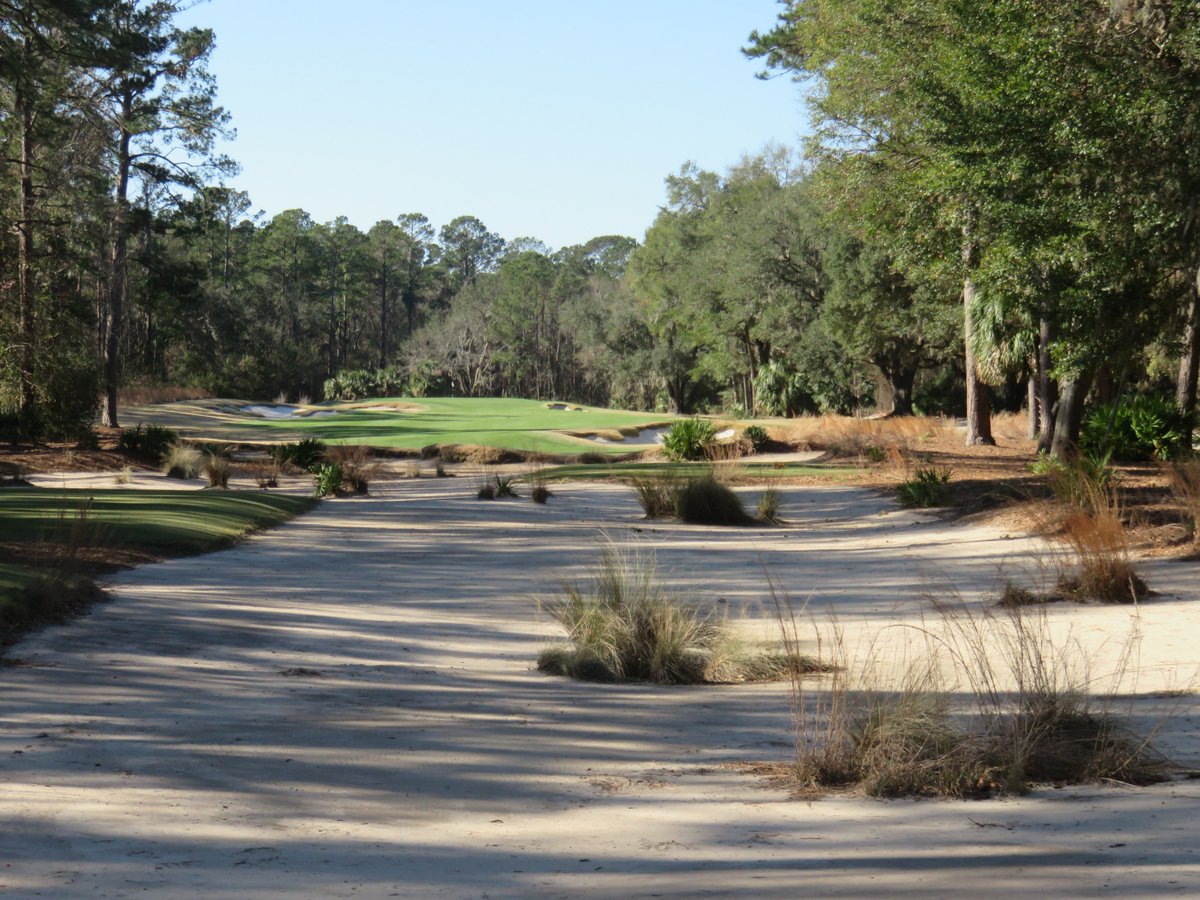 BAJohnson_GOLF's tweet photo. @APDCgolf #tbt Just a few more flashback pics #APDCgolf @APDCgolf #OldTabbyLinks #SpringIsland #Naturalbeauty https://t.co/jC03dOoPMt
