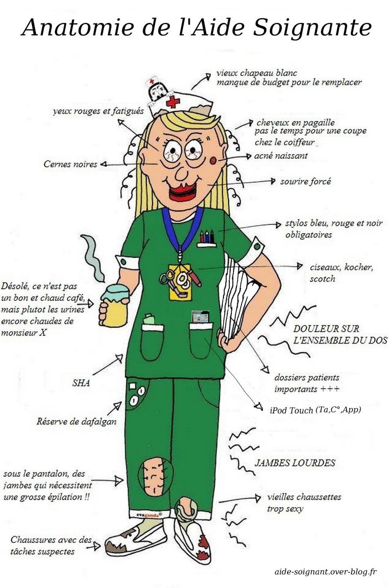 BarbaraCouturi4's tweet photo. Anatomie de l'Aide Soignante https://t.co/UGmV4m2Jo1