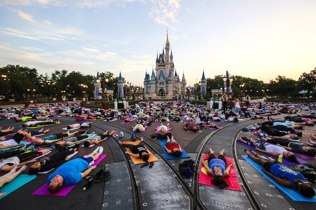 Yoga News tweet media