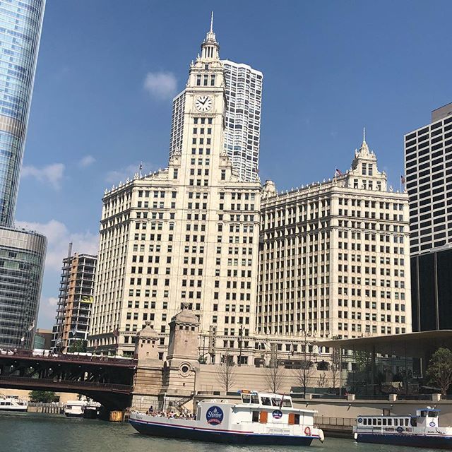 alsteeves's tweet photo. Now I get what everyone means when they talk about the architecture in Chicago.  #architecturecruisechicago #chicago #chicagoarchitecture #vacation #chicagoriver #chicagorivercruise https://t.co/BXsKFKAxRo https://t.co/OUcS5FnTPT