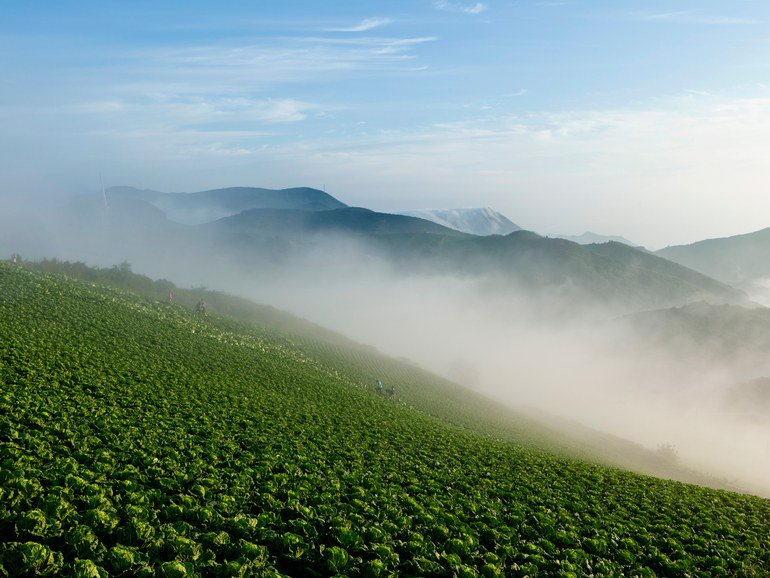 The top destinations of 2018 according to Airbnb cntrvlr.co/ic5JKHt