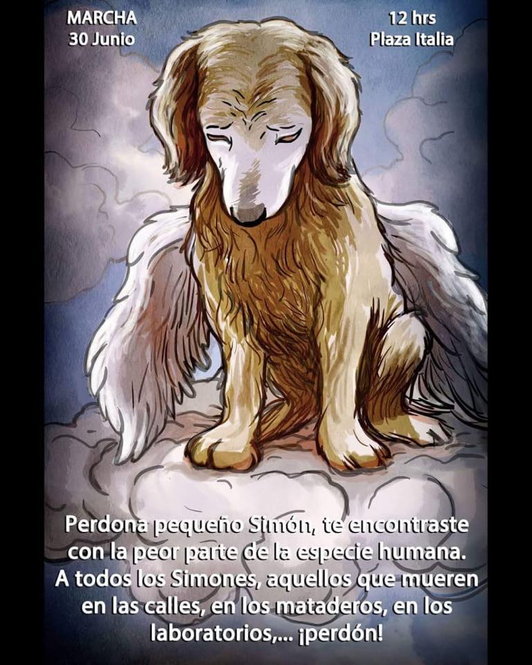 #MestizosMagazine: Buenos días
¡No lo olviden! Este sábado marcha por los derechos de los animales #JusticiaParaSimón bit.ly/2MtGeJL