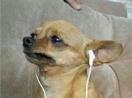 noe_bruhh's tweet photo. Me rn https://t.co/7MjlxEjDv8