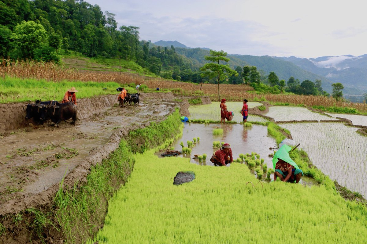 Image result for asar 15