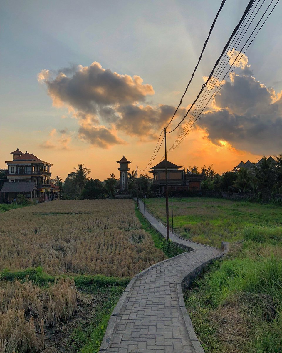 TravelWithRicky's tweet image. Bali is awesome 🇮🇩