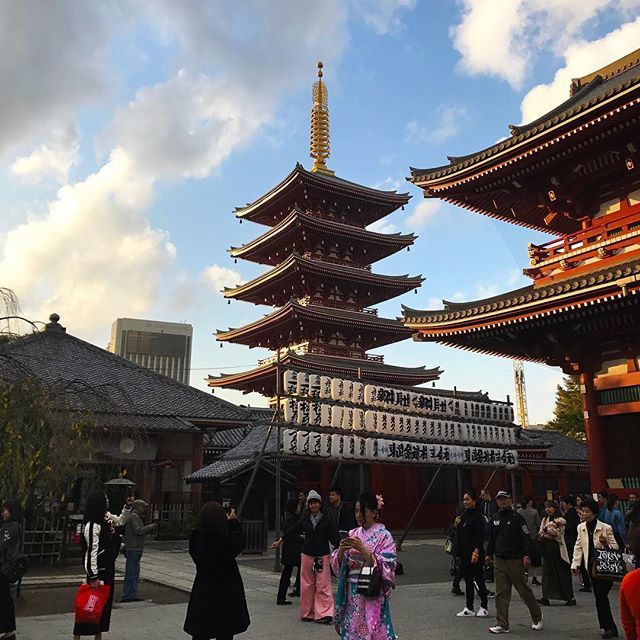 ECCTeachinJapan's tweet photo. Sensoji Temple caught in the golden hour in Tokyo's atmospheric Asakusa town.⠀
📷 by @ailsarr⠀
. ⠀
.⠀
.⠀
.⠀
.⠀
#ECCteachinjapan #teachinjapan #teachabroad #eslteacher #japanculture #nipponpic #traditionaljapanese #travel2018 #lifeabroad #startyour… https://t.co/HYadkCF71J https://t.co/7rOHBKWbU5