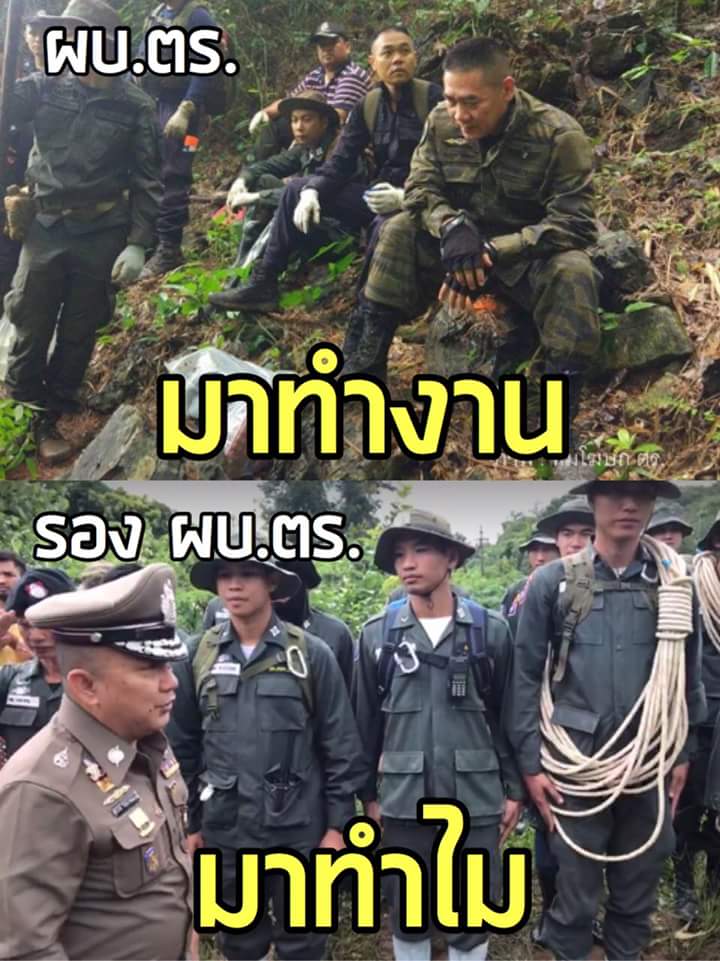 เมียหลวงของกัซ tweet media