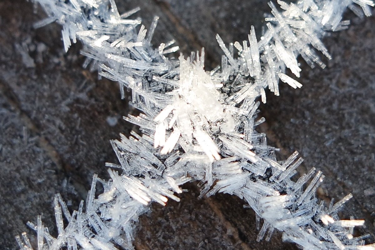 StrayNat's tweet image. X marks the spot where it's cold! Frost on the beach! But sunrise after 8am makes it easy for my @Straybus crew to get great shots!   #AbelTasmanNationalPark