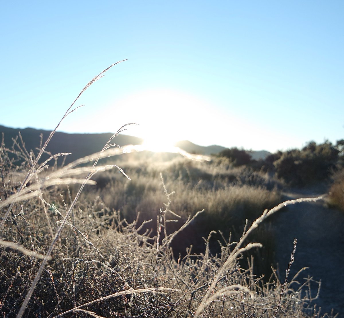 StrayNat's tweet image. X marks the spot where it's cold! Frost on the beach! But sunrise after 8am makes it easy for my @Straybus crew to get great shots!   #AbelTasmanNationalPark