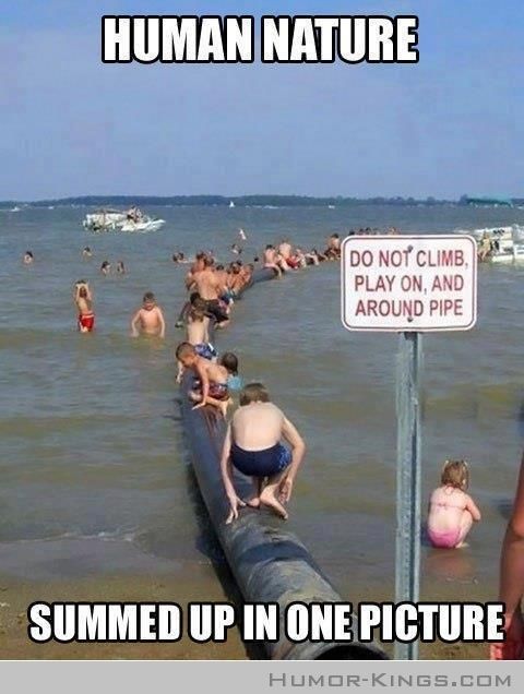 Seize the moment, enjoy the weekend everyone!

#idcit #FridayFeeling #Friday #RT #FridayFun