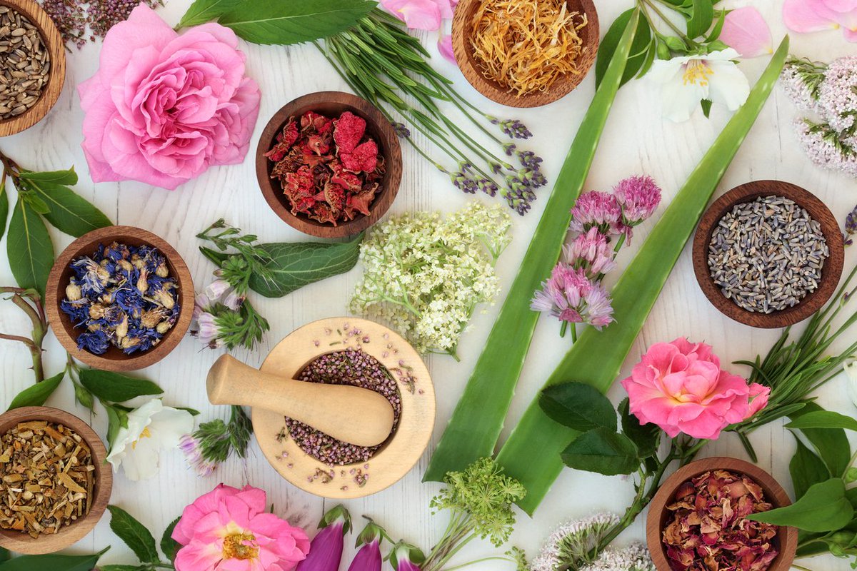 It's SCORCHIO! Cool down in our studio and learn to make some delicious and nourishing all natural products with Dream Thyme Herbal wonder woman Tania Bryson. #Harnessthepowerofnature #naturaltreats #bodylove dartington.org/event/crafted-…