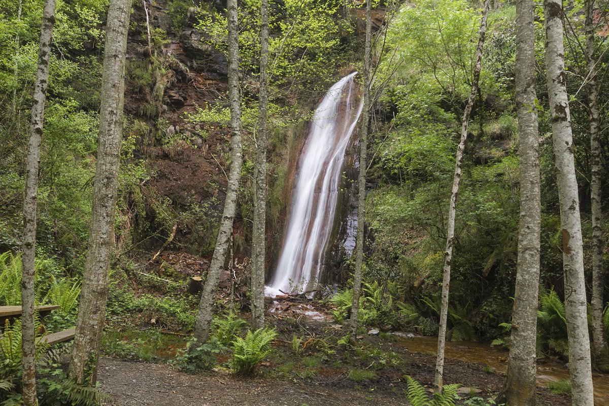12 cascadas del territorio #CourelMountainsGlobalUNESCOGeoparkProject #Quiroga #FolgosodoCourel #RibasdeSil para avivar los sentidos. Tercera parte.