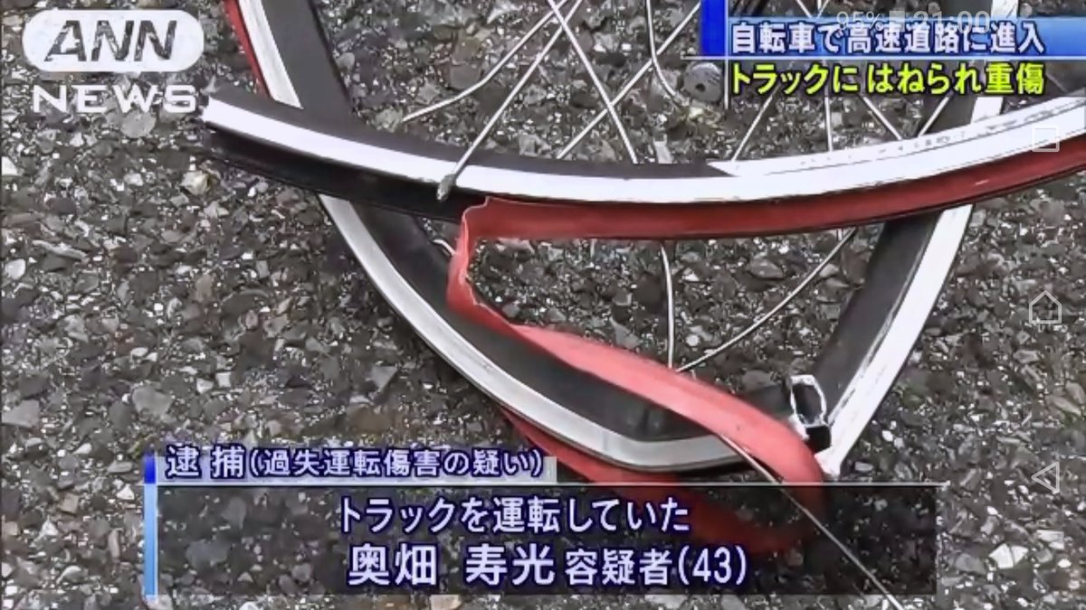 自転車で動物を轢いた