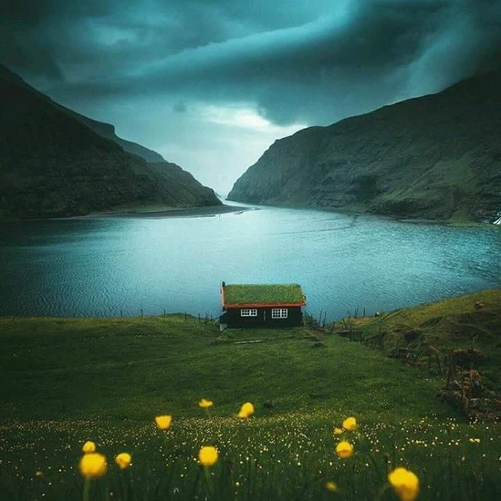 genios40's tweet image. #NuevaFotoDePerfil