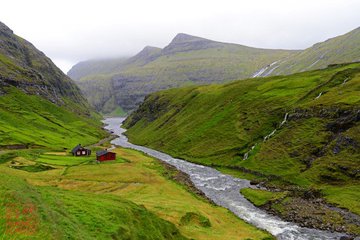 ���� ���� ������ �� ���� ������