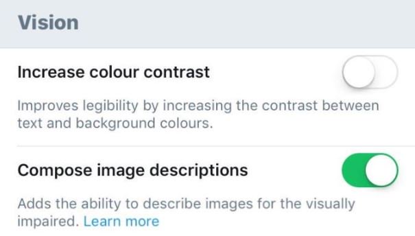Screenshot of Settings on iPhone. Text reads 'Vision. Increase colour contrast. Improves legibility by increasing the contrast between text and background colours. Compose image descriptions. Add the ability to describe images for the visually impaired. Learn more (written in blue) to the right of the text are two buttons which can be toggled on or off.