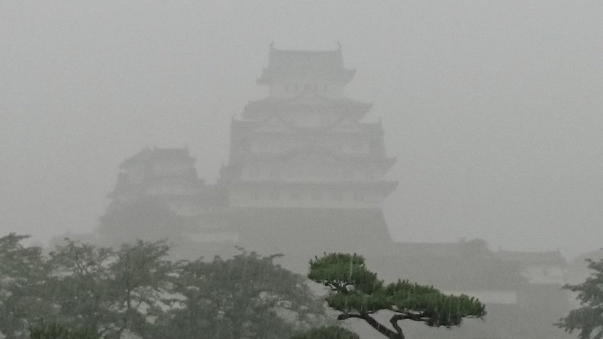 雨の姫路城