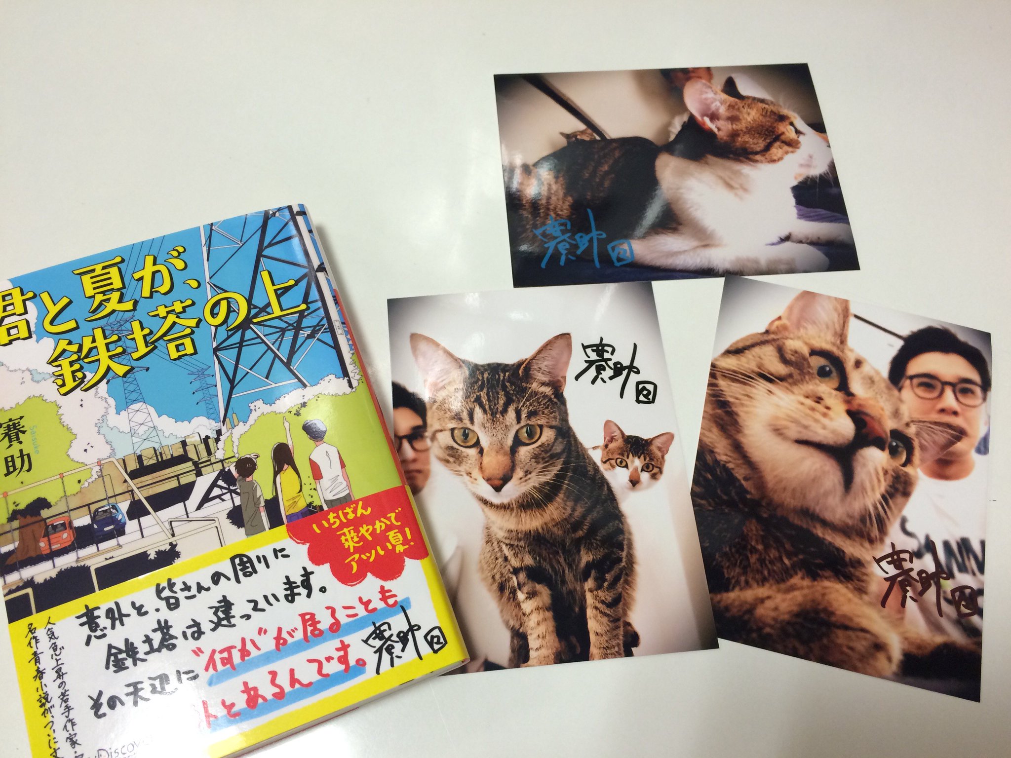 紀伊國屋書店 梅田本店 文庫 ゲーム実況グループ 三人称 の鉄塔さんこと 賽助さん Tettou の 君と夏が 鉄塔の上 ディスカヴァー文庫 特製ブロマイド付き文庫が入荷しました 賽助さんと猫ちゃんがキュートな全3種類がランダム封入 こちら 紀伊國屋書店 梅田本店 文庫 ゲーム実況グループ 三人称 の鉄塔さんこと 賽助さん Tettou の 君と夏が 鉄塔の上 ディスカヴァー文庫 特製ブロマイド付き文庫が入荷しました 賽助さんと猫ちゃんがキュートな全3種類がランダム封入 こちら