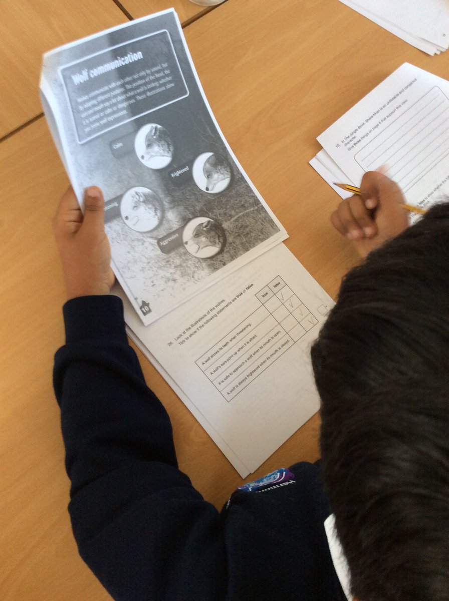 Trinnythebird's tweet image. 5L are testing their comprehension skills this morning. #comprehensionskills #questiontypes