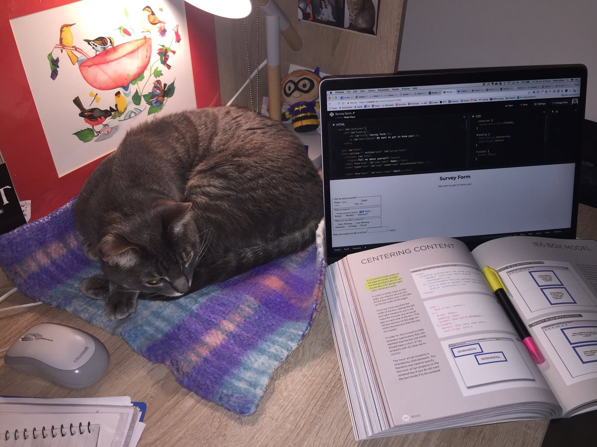 RMKwrites's tweet image. A few more tweaks of my code and I think I can get this cat animated! 😜 My brain might be tired. #100DaysOfCode @freeCodeCamp #CodingCats #CodeNewbie