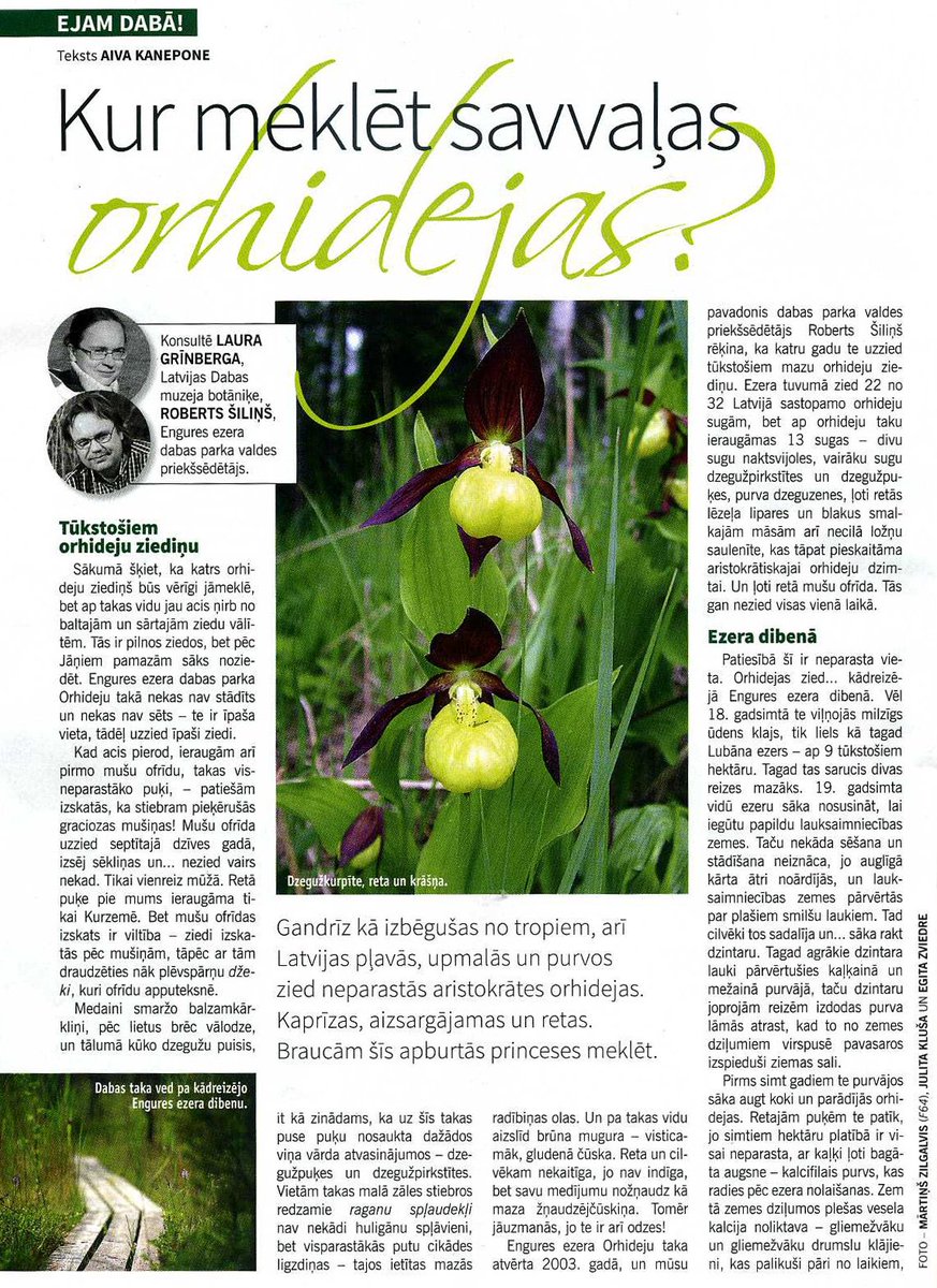 Žurnālā Ieva 27.06.2018. interesants Aivas Kanepones raksts par Latvijas savvaļas orhidejām: