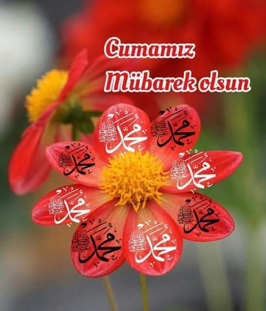 Sahabelerden biri Efendimize sorar;
"Cenabı Hak kime kıyamaz ya Resulallah der"
Efendimiz(sav) Allahu Teala"Birbiri için dua eden ve sevip hatırlayan kullarıma kıyamam,ikisinide affederim"der..
Birbirimize dua eden,sevip,
hatırlayan kullardan olma duası ile..